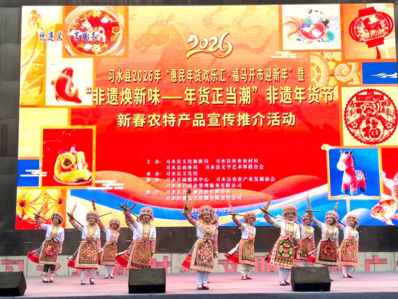 3、苗族斗腳舞歡快上演,點(diǎn)燃年貨節(jié)現(xiàn)場(chǎng)氛圍。羅金 攝.jpg