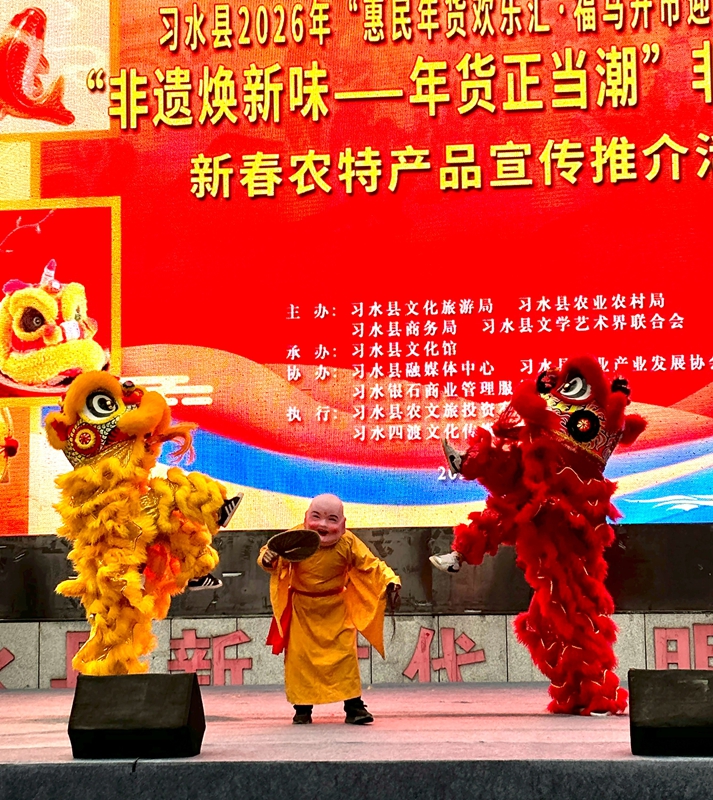 4、舞獅精彩展演,金紅雙獅俏皮互動(dòng) 。羅金 攝.jpg