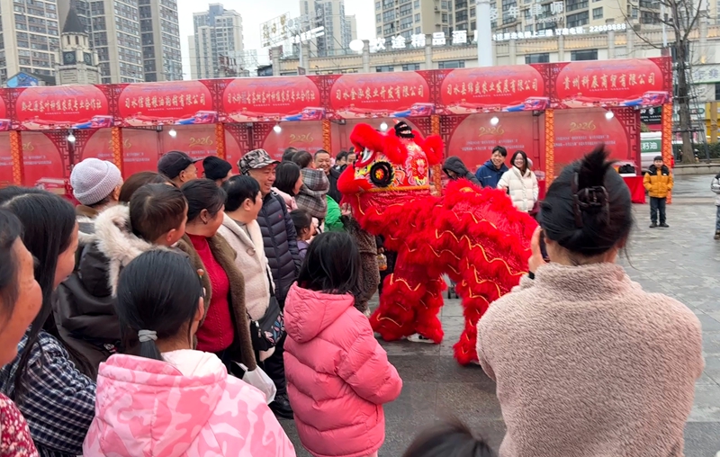 5、醒獅穿梭人群互動(dòng),引得市民陣陣歡笑。。羅金 攝.jpg