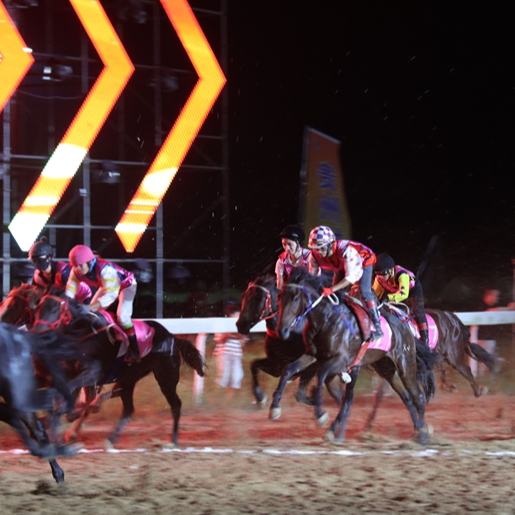 近年來(lái)，貴州省黔南州三都挖掘端節(jié)賽馬傳統(tǒng)，積極探索“文化+體育+產(chǎn)業(yè)”模式，打造“貴州村馬”IP，推動(dòng)“文化+體育+產(chǎn)業(yè)”融合發(fā)展。