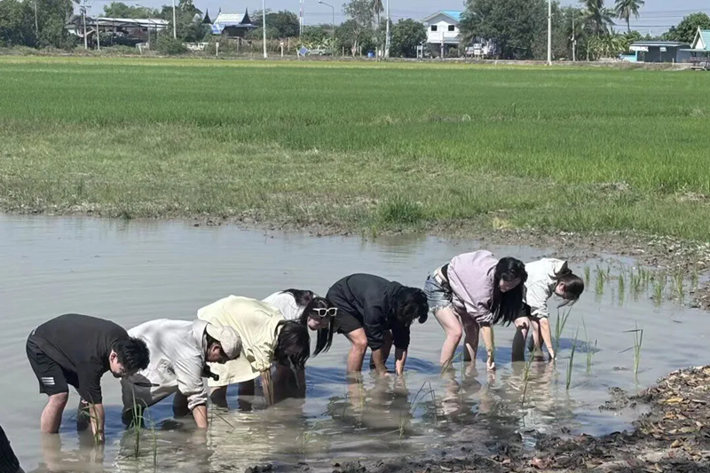 鄉村傳統農耕體驗。