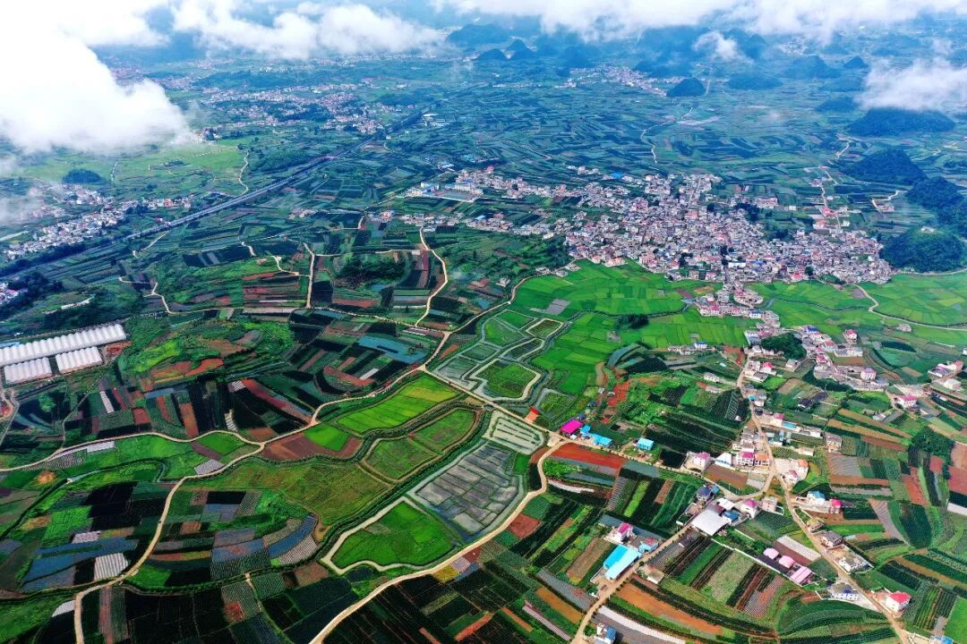 “十四五”農業農村發展“西秀答卷”。