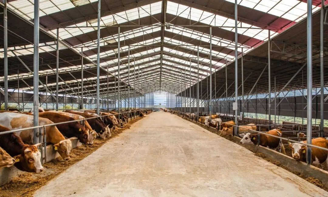 “十四五”農業農村發展“西秀答卷”。