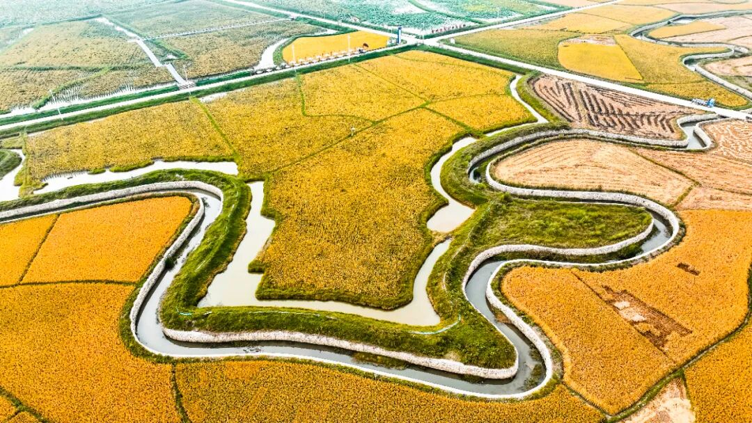 “十四五”農業農村發展“西秀答卷”。