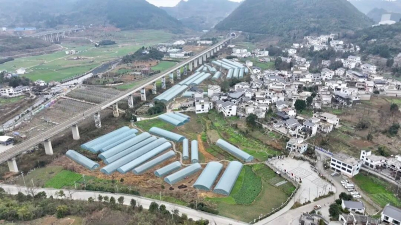 2、朱昌鎮長沖村草莓大棚。