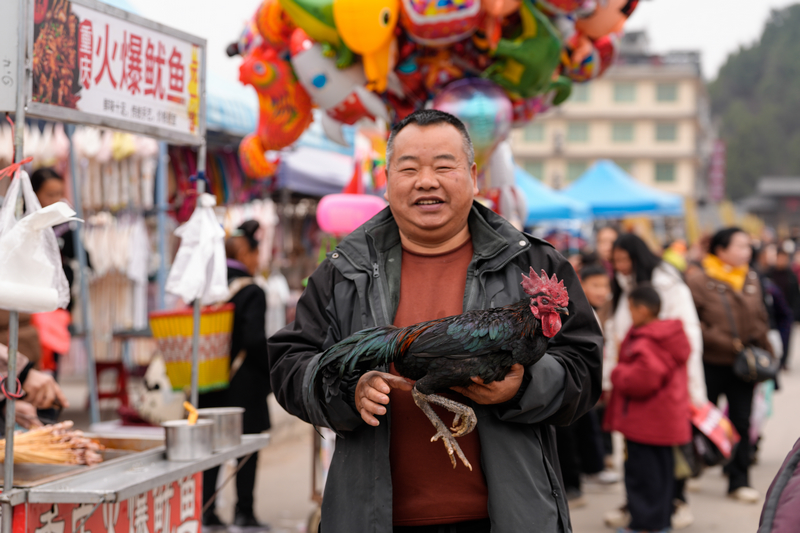 1月23日，凱里下司大集一位市民買到了滿意的大公雞。