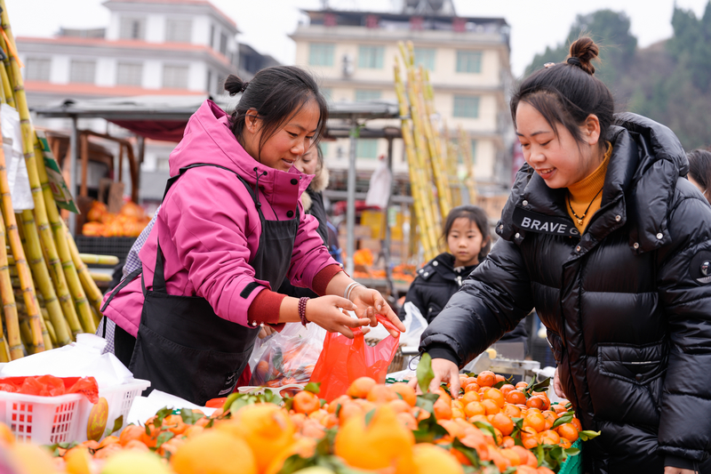 1月23日，凱里下司大集上，市民在購買橘子。
