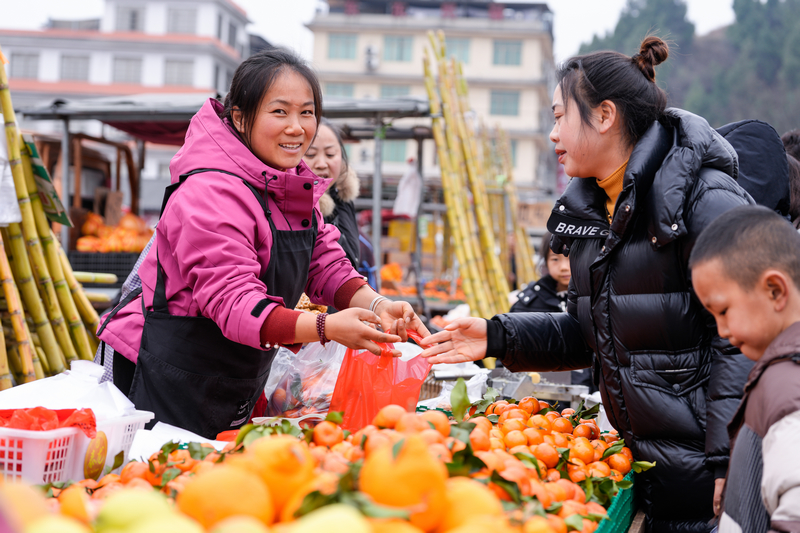 1月23日，凱里下司大集上市民在購買橘子。