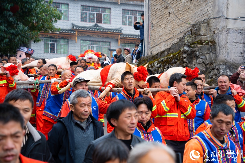 年豬巡游。人民網 陽茜攝