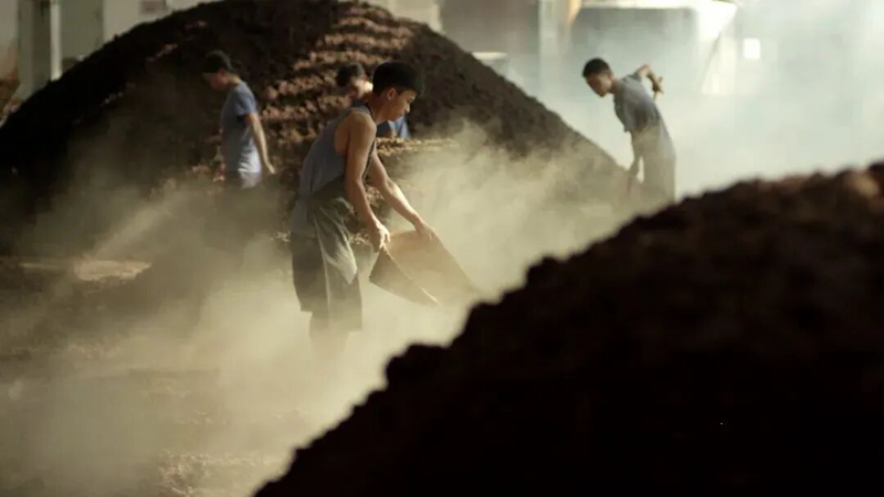 2 圖為工人們正在攤涼蒸好的高粱.jpg