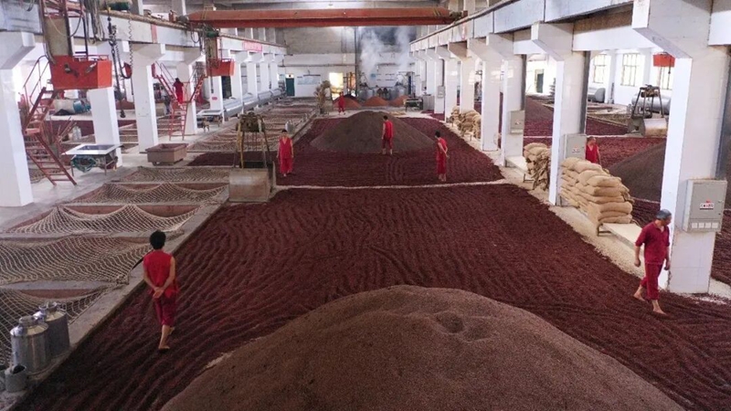 3 圖為釀酒車間.jpg