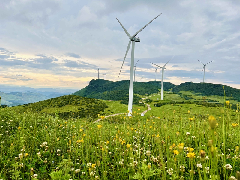 麻窩山風電場。