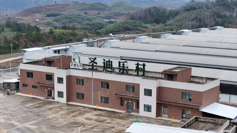 貴州銅仁：一枚雞蛋串起全產(chǎn)業(yè)鏈 家門(mén)口就業(yè)圓了富民夢(mèng)。