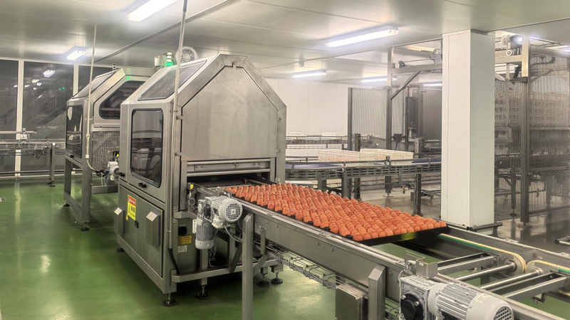 貴州銅仁：一枚雞蛋串起全產(chǎn)業(yè)鏈 家門(mén)口就業(yè)圓了富民夢(mèng)。