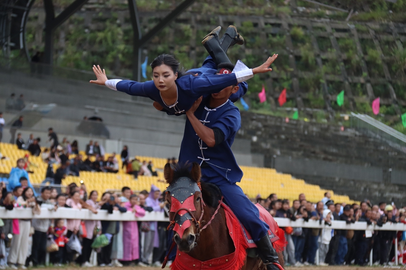 馬術(shù)表演。