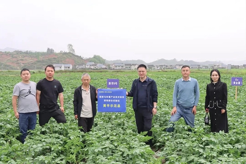 李飛(右三)率隊到馬鈴薯種植示范縣黃平調研
