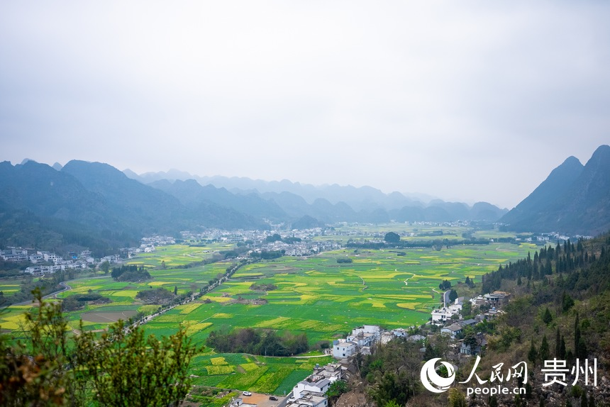 航拍萬峰林。人民網 涂敏攝