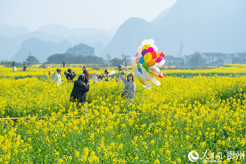 萬峰林油菜花田一角。人民網 陽茜攝