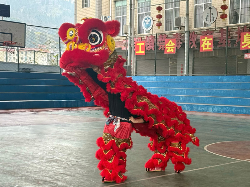 二郎鎮(zhèn)舞獅展靈動身姿,騰躍間盡顯民俗魅力。謝永恒攝