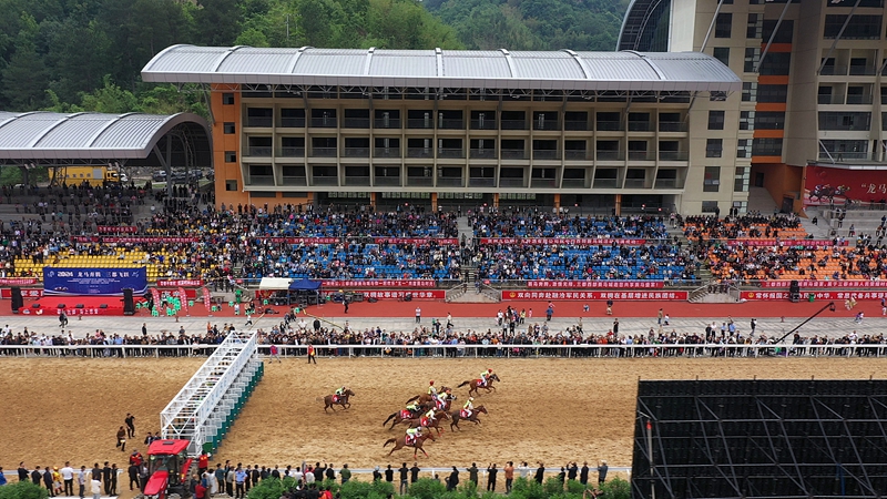 7.精彩的賽馬比賽.jpg