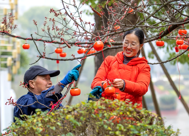工作人員在貴州省黔西市行政中心廣場掛小燈籠。