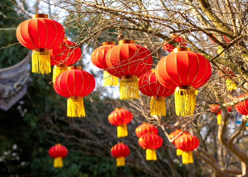 掛滿紅燈籠年味十足的貴州省黔西市水西公園。