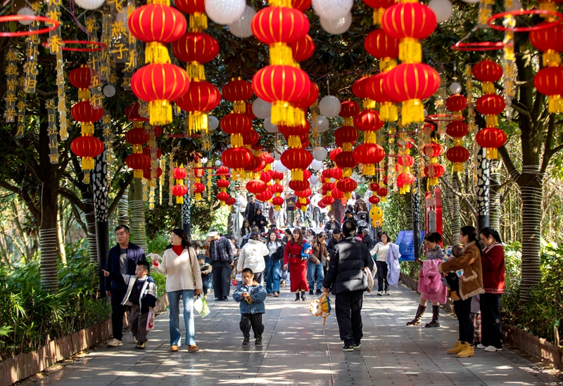 市民在掛滿紅燈籠的黔西市水西公園游玩。