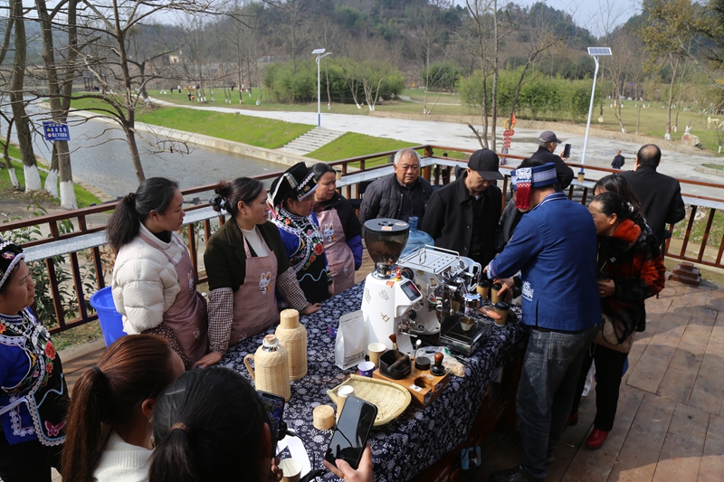 游客排隊領取折耳根咖啡。