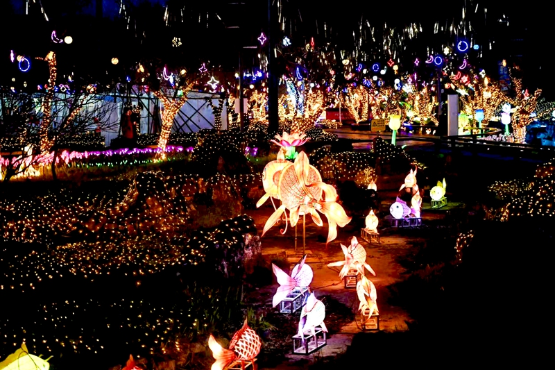 燈光璀璨的蘑力小鎮(zhèn)。劉楊攝