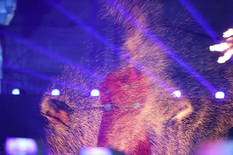 12 精彩演出,打造不間斷的視聽盛宴 廖興丹 陳楊.jpg