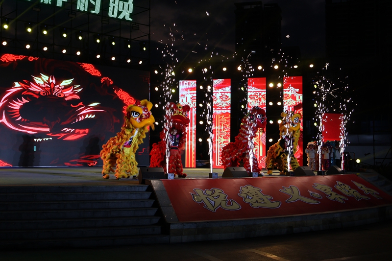 4、龍獅齊舞 。.JPG