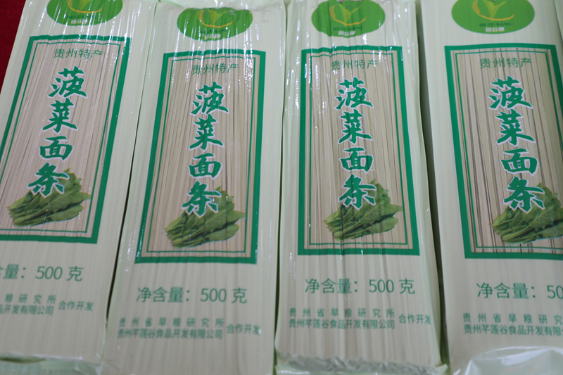 圖為菠菜苗條。