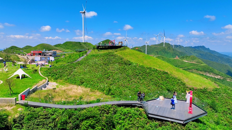 玉簪花云海景區(qū)一隅。  李杰  攝.jpg