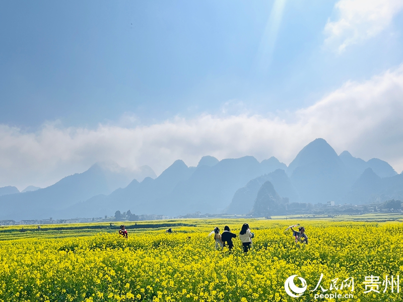 游客游覽萬峰林，打卡“早花”景色。人民網記者 陳潔泉攝.jpg