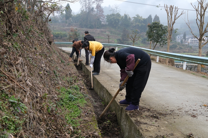 5 圖為清理雜草 伍會(huì)芳 攝.jpg