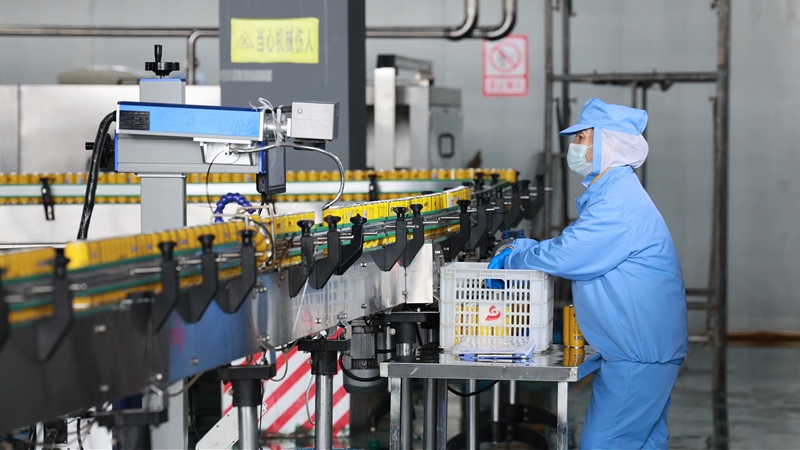 貴州刺力王生物科技有限公司生產間。萬文賢 攝