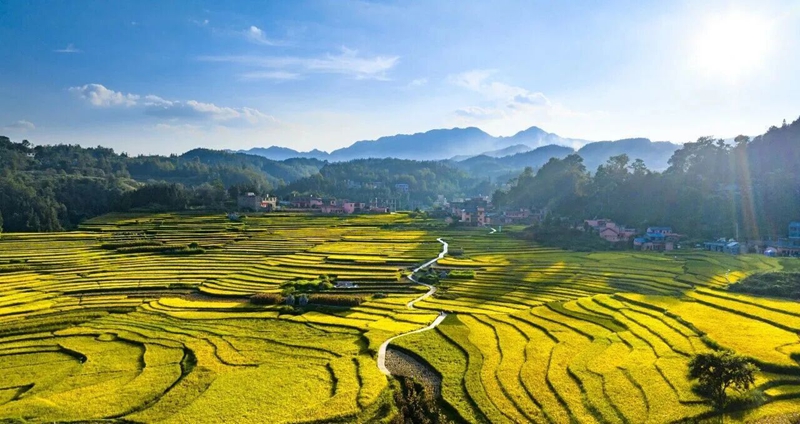 盤州新民梯田(肖潤賢 攝).jpg