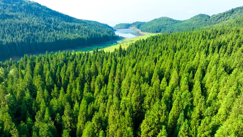 淤泥鄉雨奪箐(肖潤賢 攝).jpg