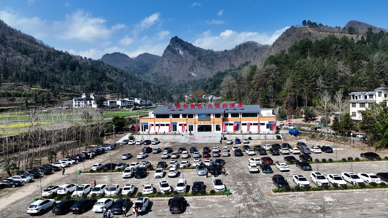 停車場停滿來自全國各地的車輛。