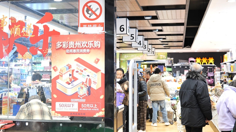 西秀區2026年消費券暖心派發 (3)