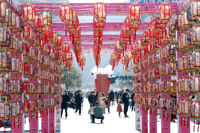 “百味七星·馬年大集”2026年新春集市正式火熱開市 周海東 攝 (2)