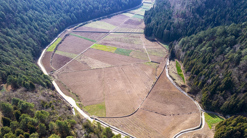 貴州省黔西市洪水鎮龍營村高標準農田。