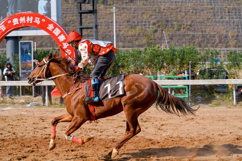 駿馬馳騁 (2).jpg