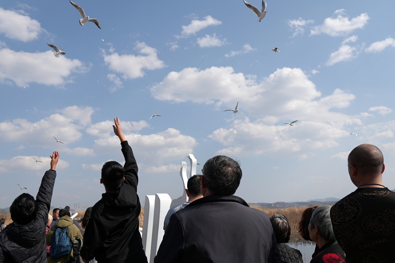 2026年2月20日，游客在江家灣碼頭與海鷗互動。岳剛攝