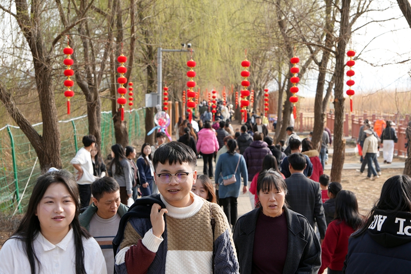 2026年2月20日,在江家灣碼頭觀看海鷗的游客絡繹不絕。岳剛攝