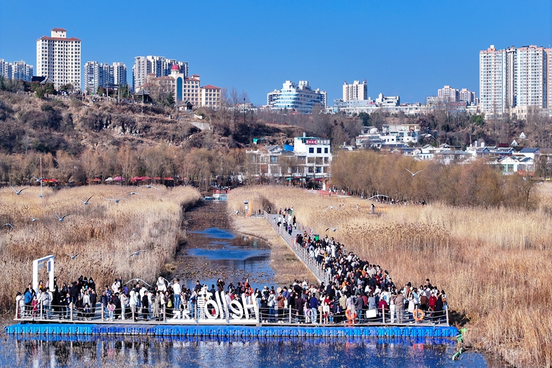 2025年12月21日,威寧自治縣海邊街道江家灣碼頭,游客正在和紅嘴鷗互動。岳剛攝