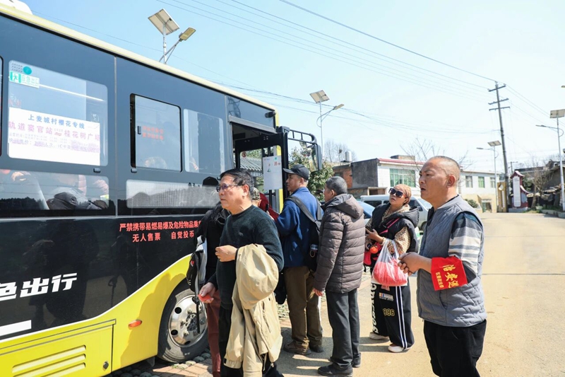 7、 村民羅志會戴著“治安巡邏”紅袖標，身影穿梭在游客之中。