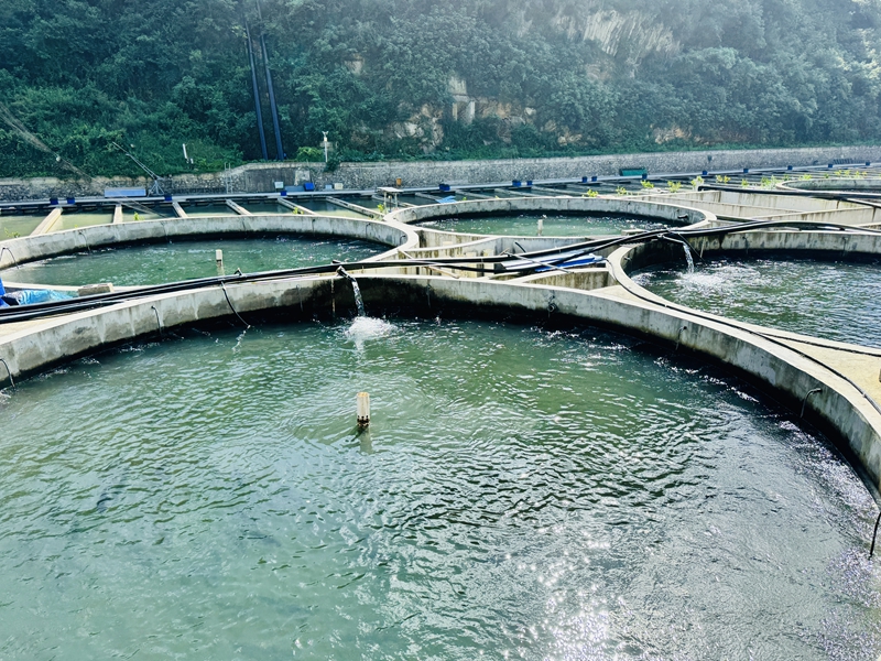 養(yǎng)殖基地。