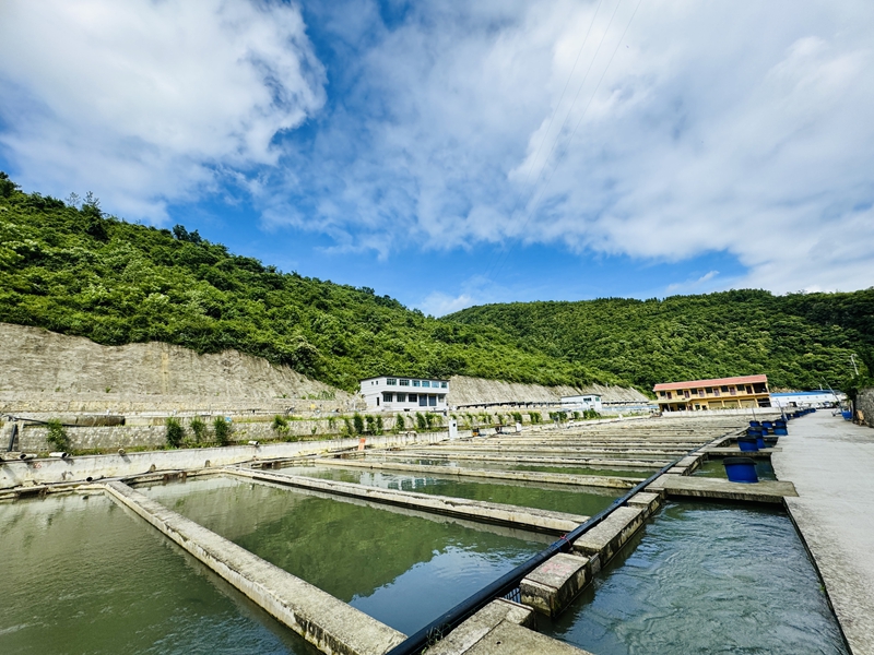 養(yǎng)殖基地。