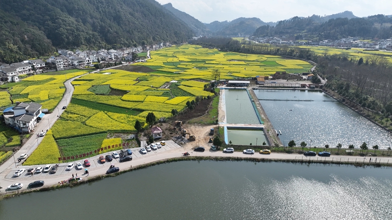 美麗的田園風光。